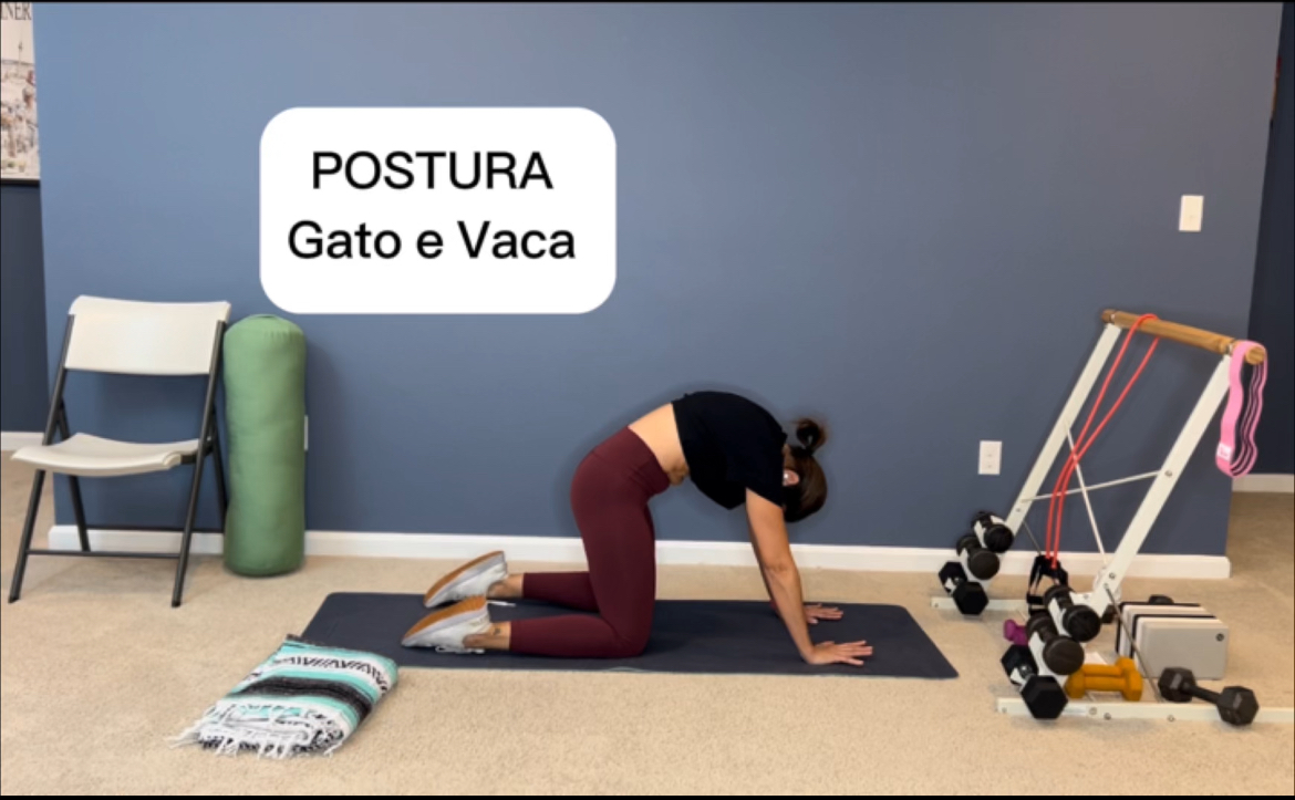 10-Minutos | Postura do Gato e Vaca